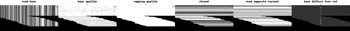 Example of a hybrid pileup for one variant